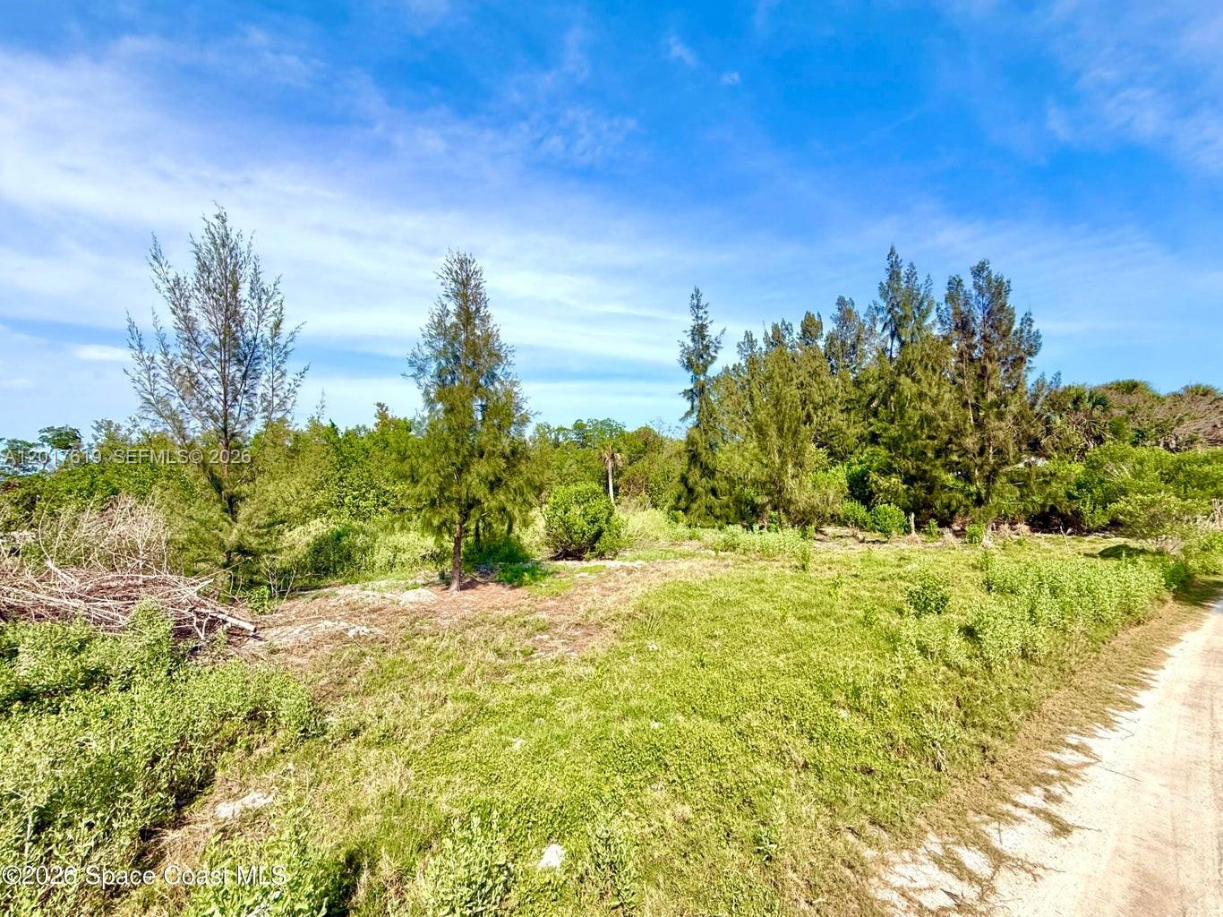 Grant Island Property Photo 4