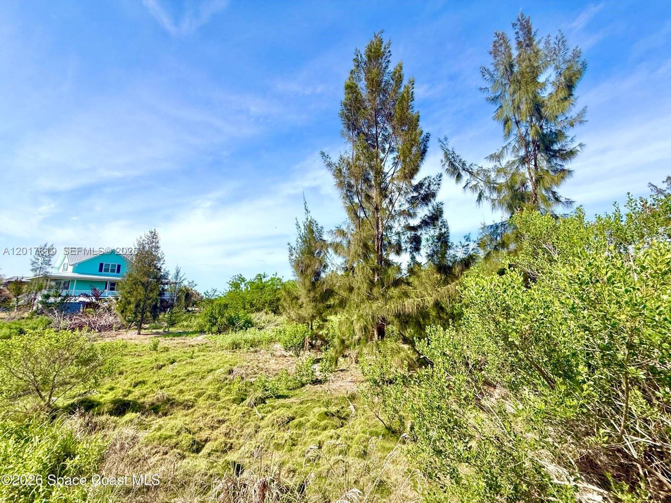 Grant Island Property Photo 6
