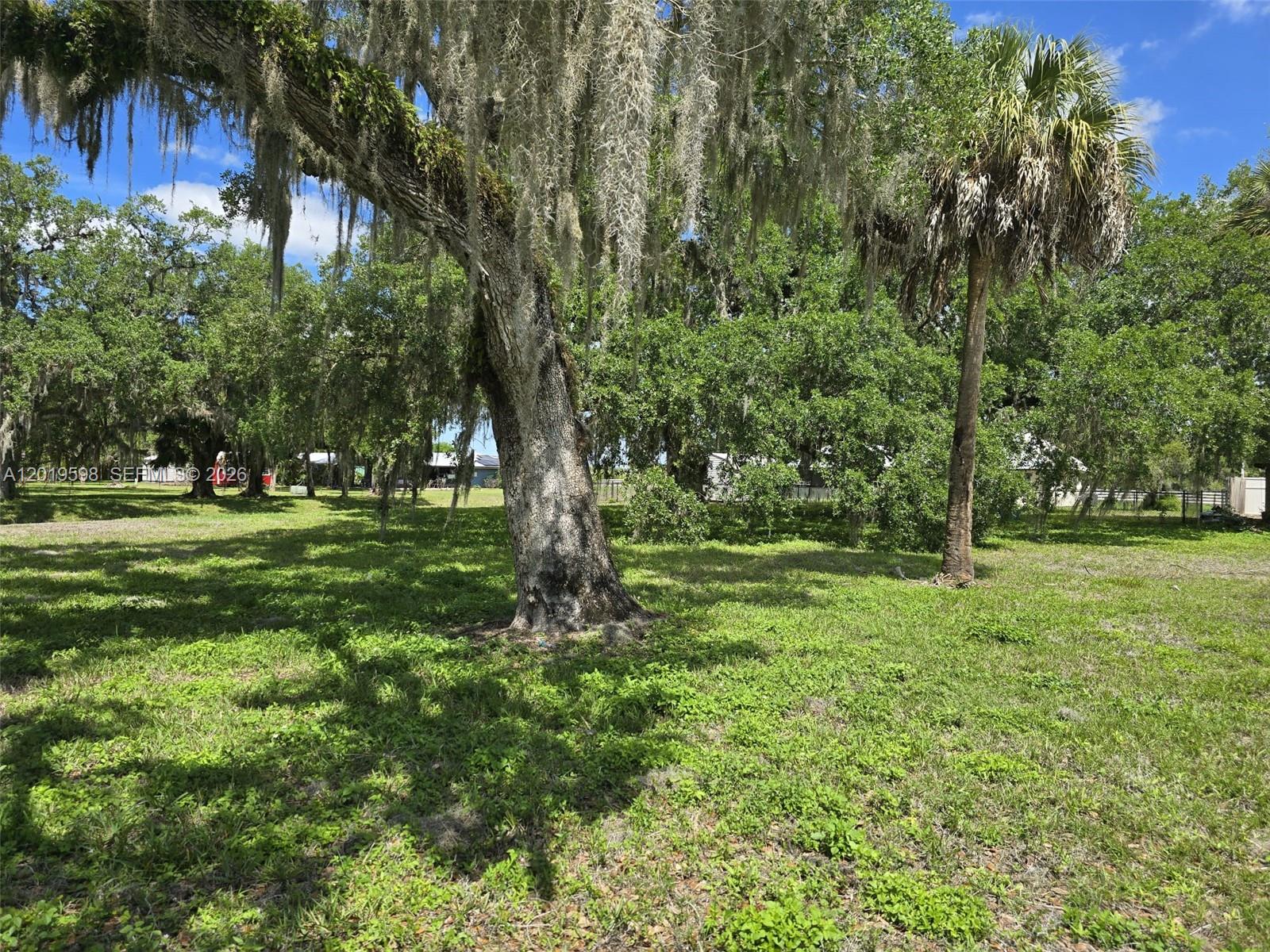 A12019598 Property Photo 54