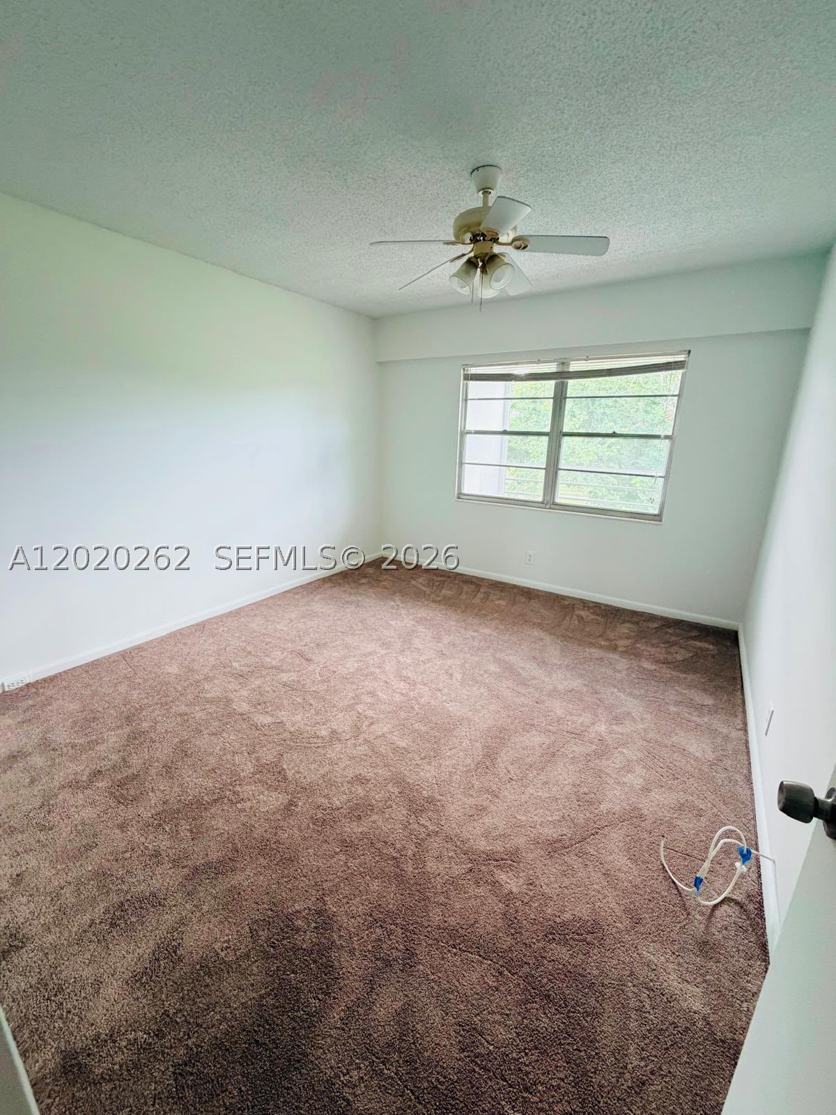 335 Brighton H 335 Property Photo 5