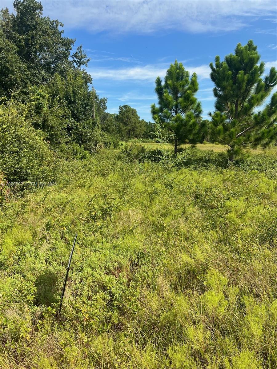 Huntington Shortcut Rd Property Photo 2