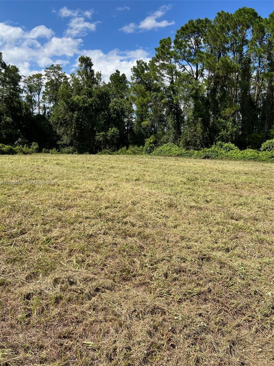 Huntington Shortcut Rd Property Photo 4