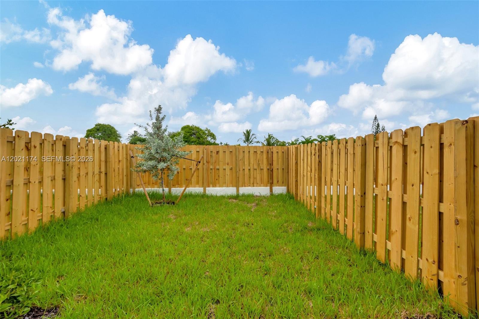 A12021174 Property Photo 34