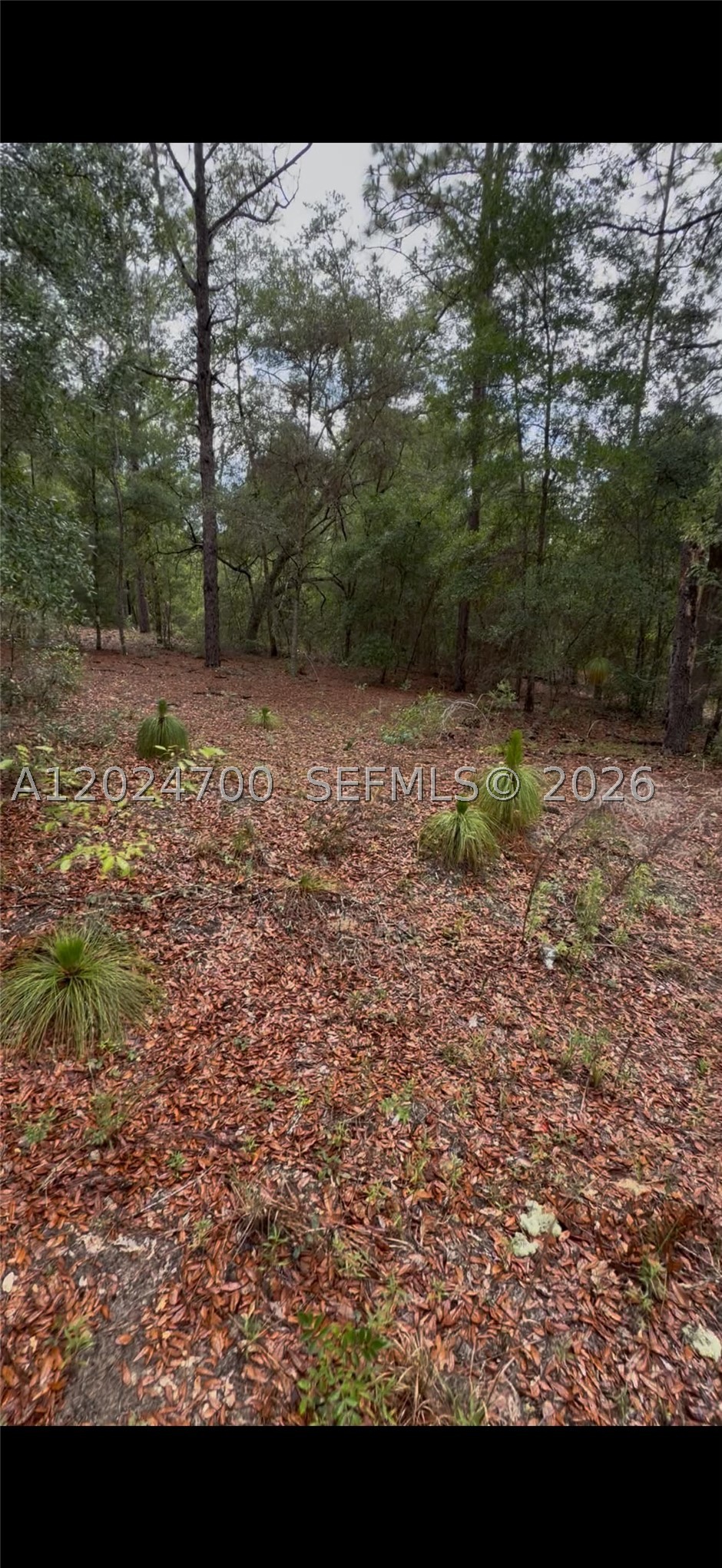 1373 Sw 153rd Ave Property Photo 1