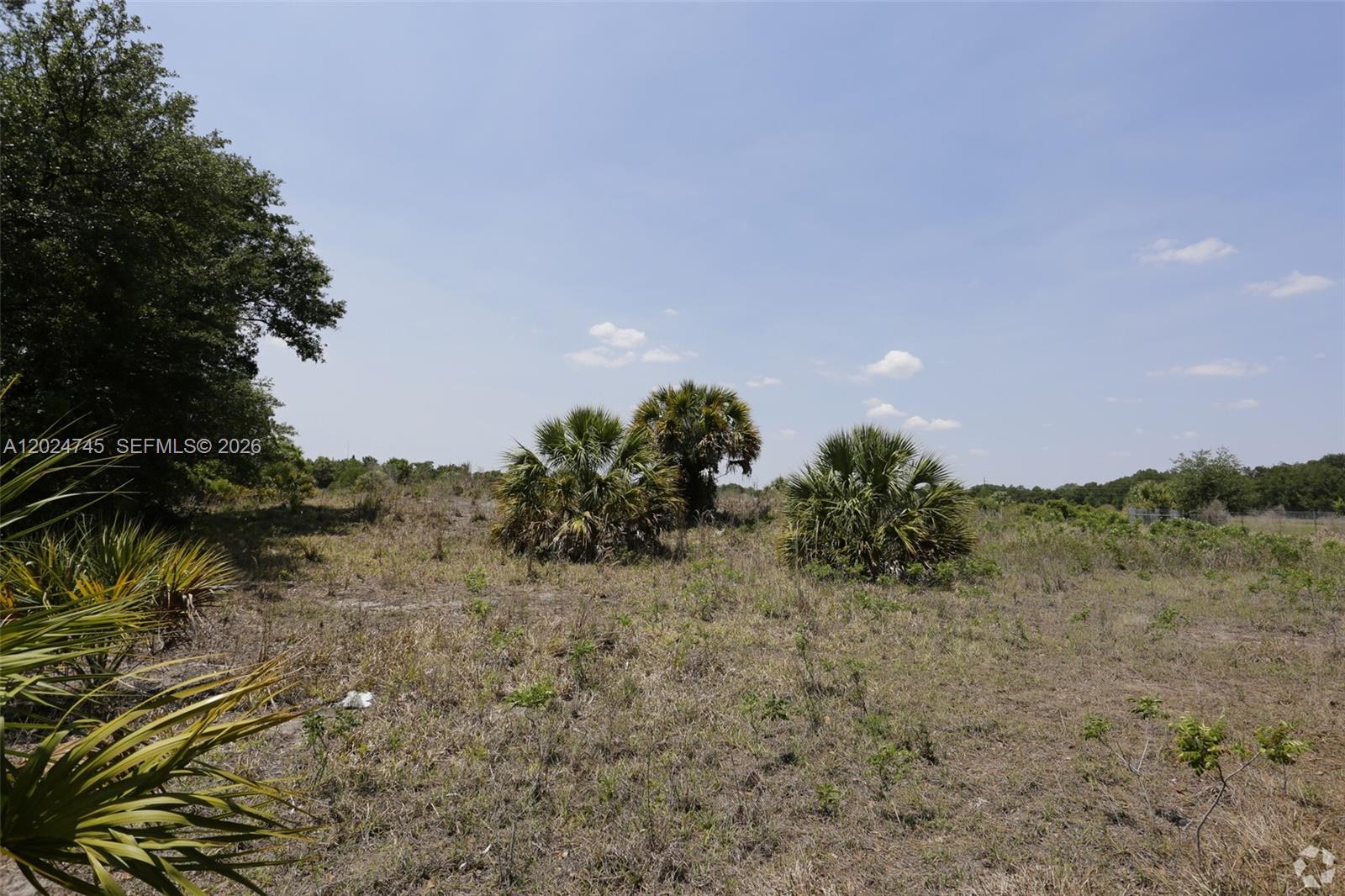 1527 N Highway 17 Property Photo 2