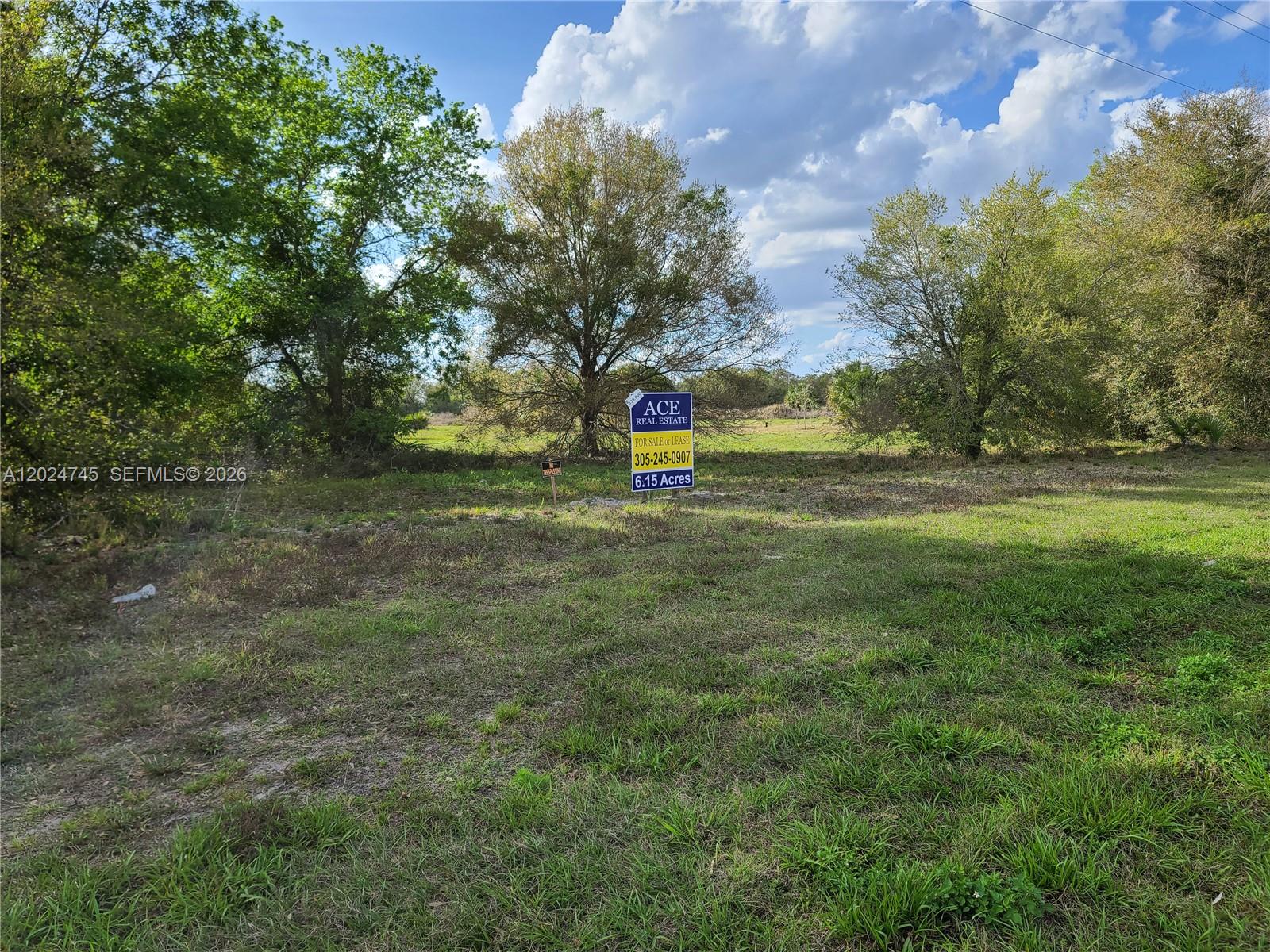 1527 N Highway 17 Property Photo 5