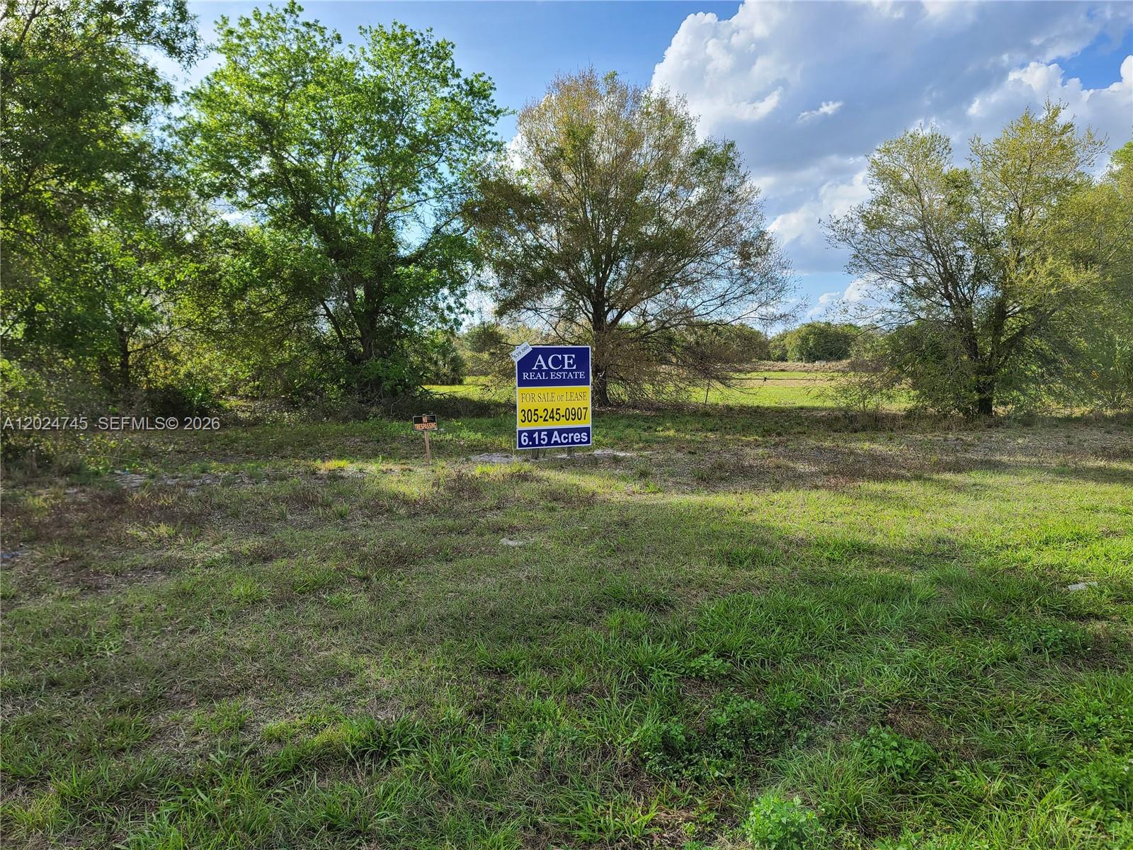 1527 N Highway 17 Property Photo 7