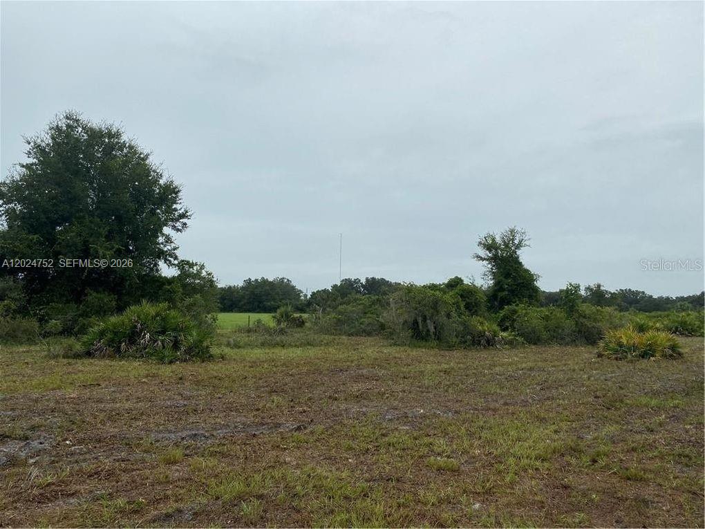 1525 N Highway 17 Property Photo 3