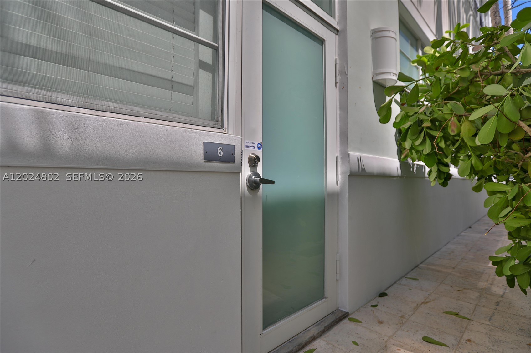 935 Euclid Ave 6 Property Photo 1