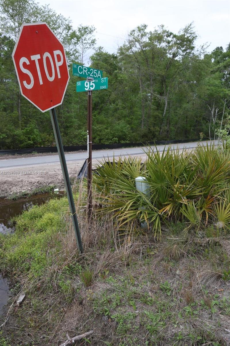 0 Se County Road 25a Property Photo 5
