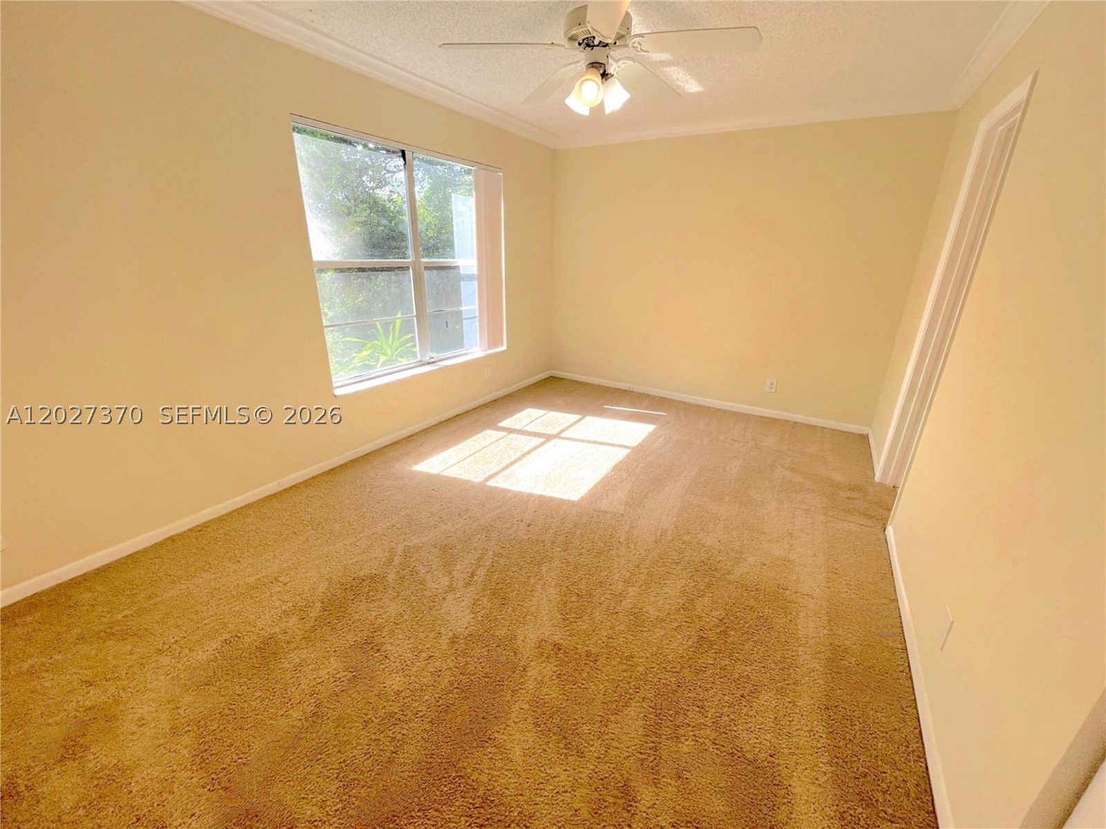 8450 Lagos De Campo Blvd 206 Property Photo 7