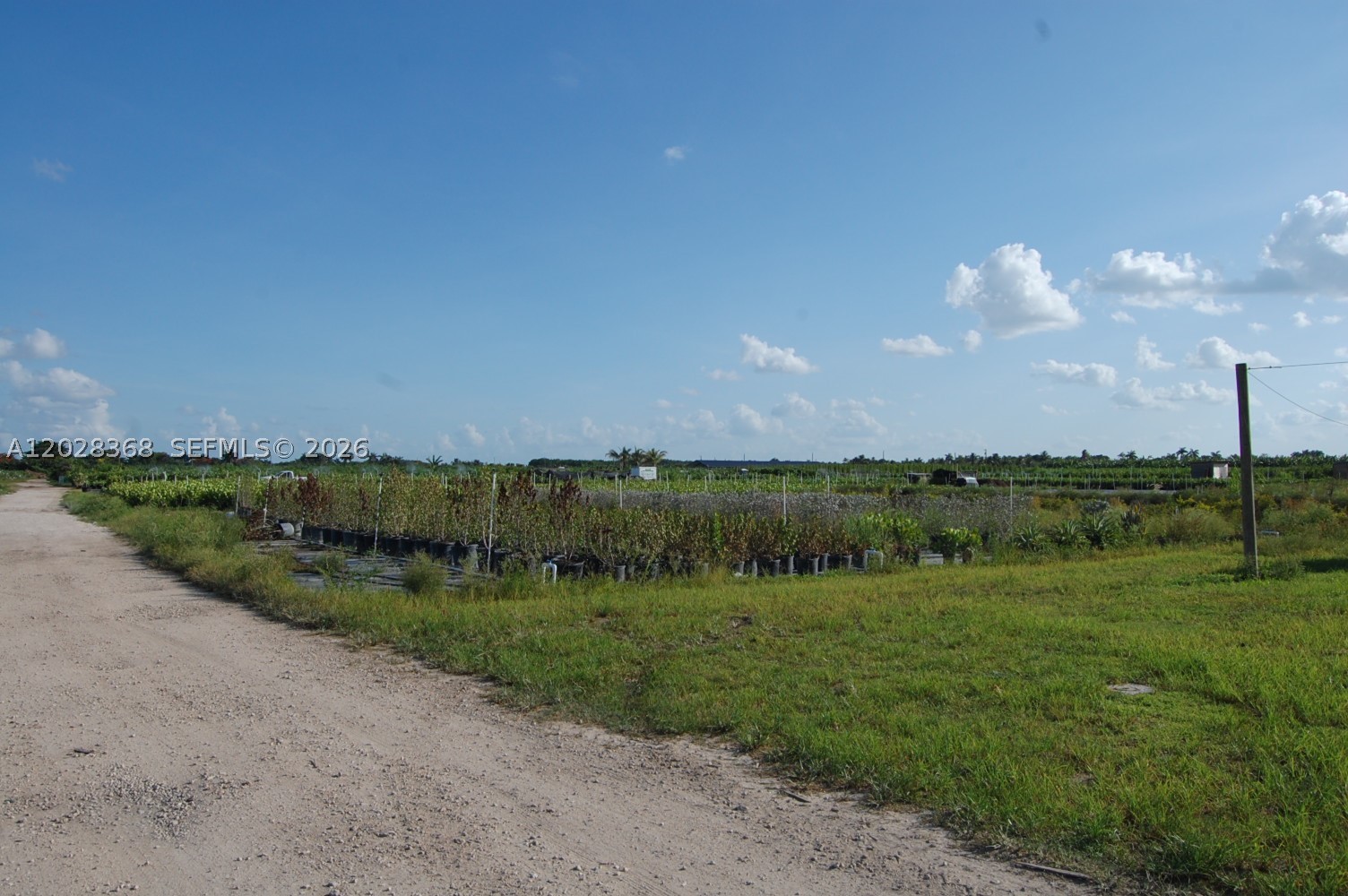 A12028368 Property Photo 1