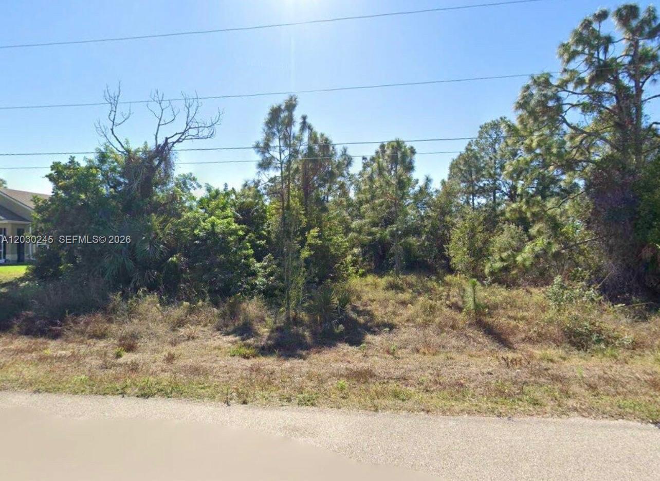 442 Raymer St Property Photo 1