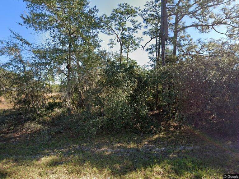 1334 ST Augustine Court