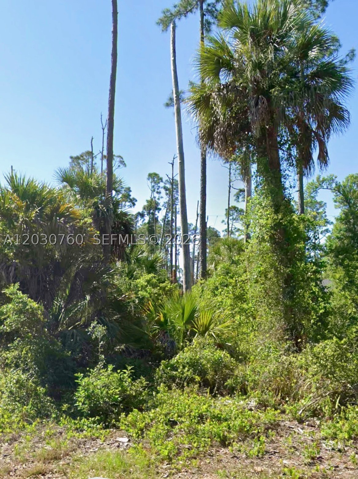 17453 DUDLEY AVE Property Photo 1