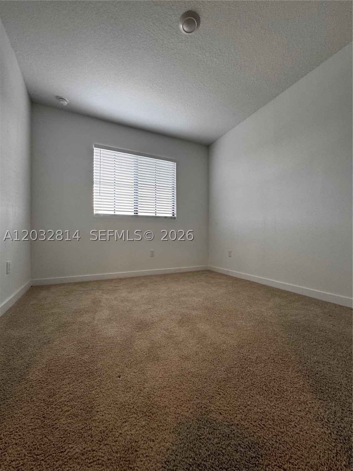4860 Dillion St 4860 Property Photo 17