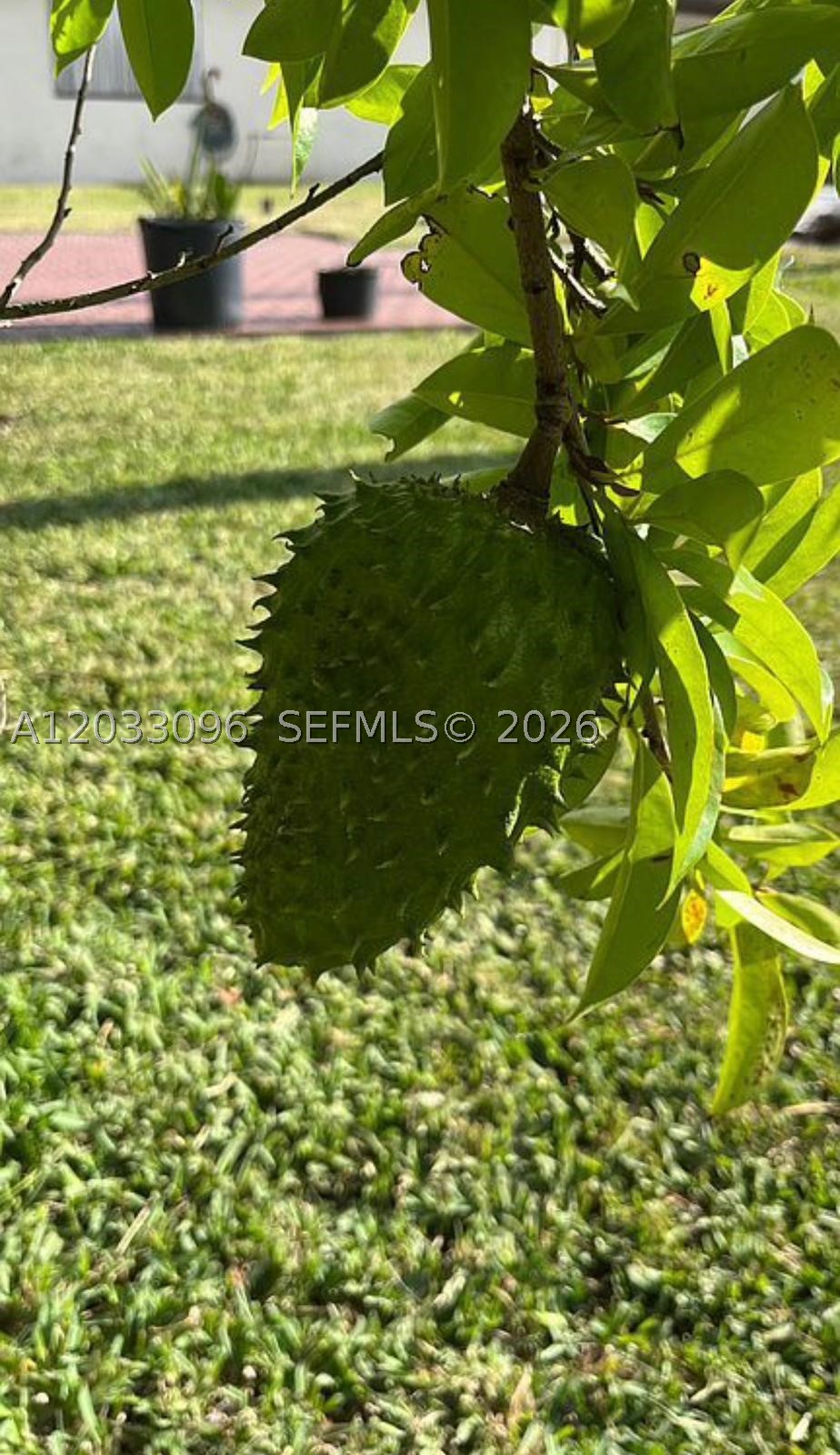 1475 Nw 19 St Property Photo 46