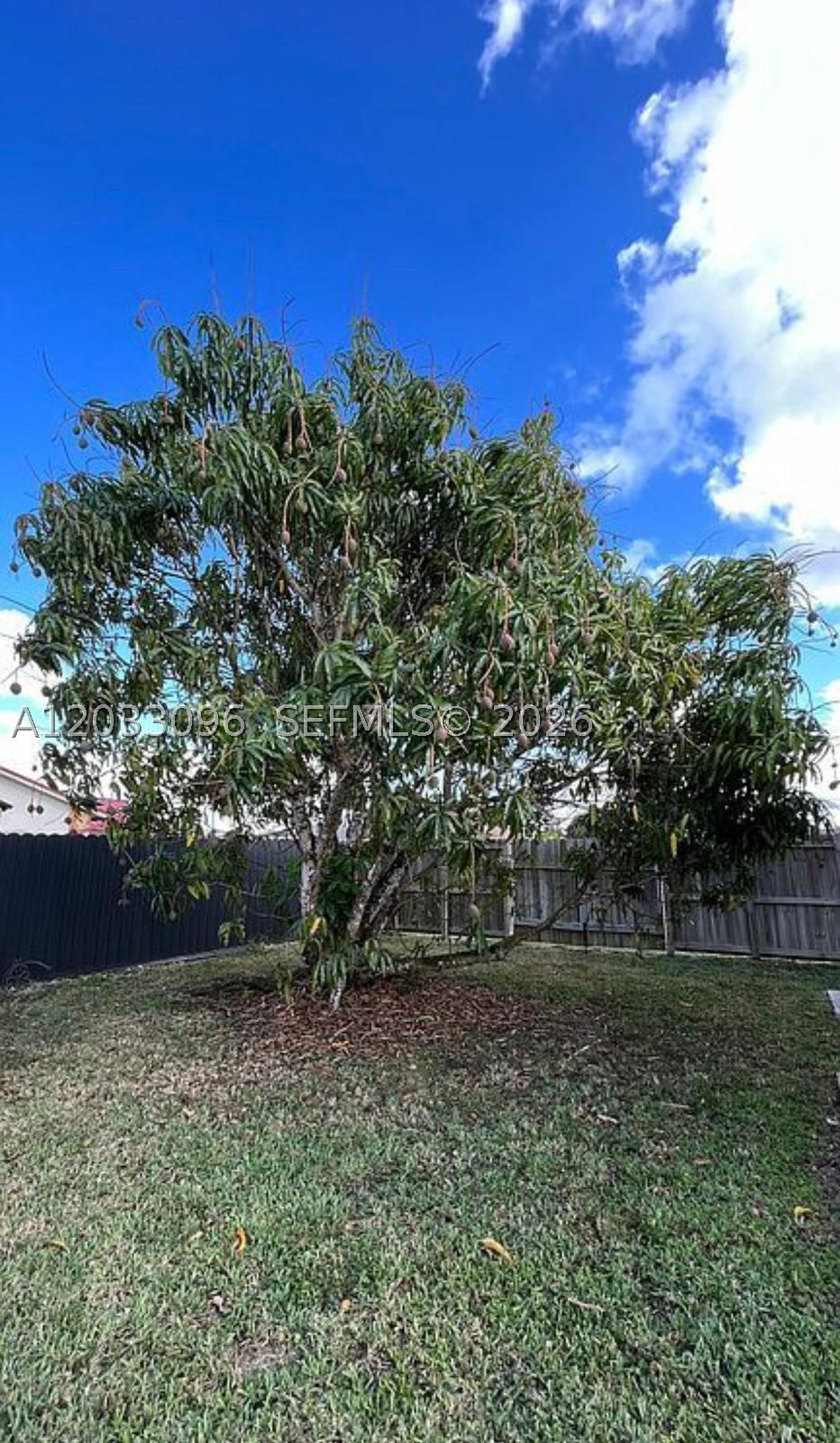 1475 Nw 19 St Property Photo 52