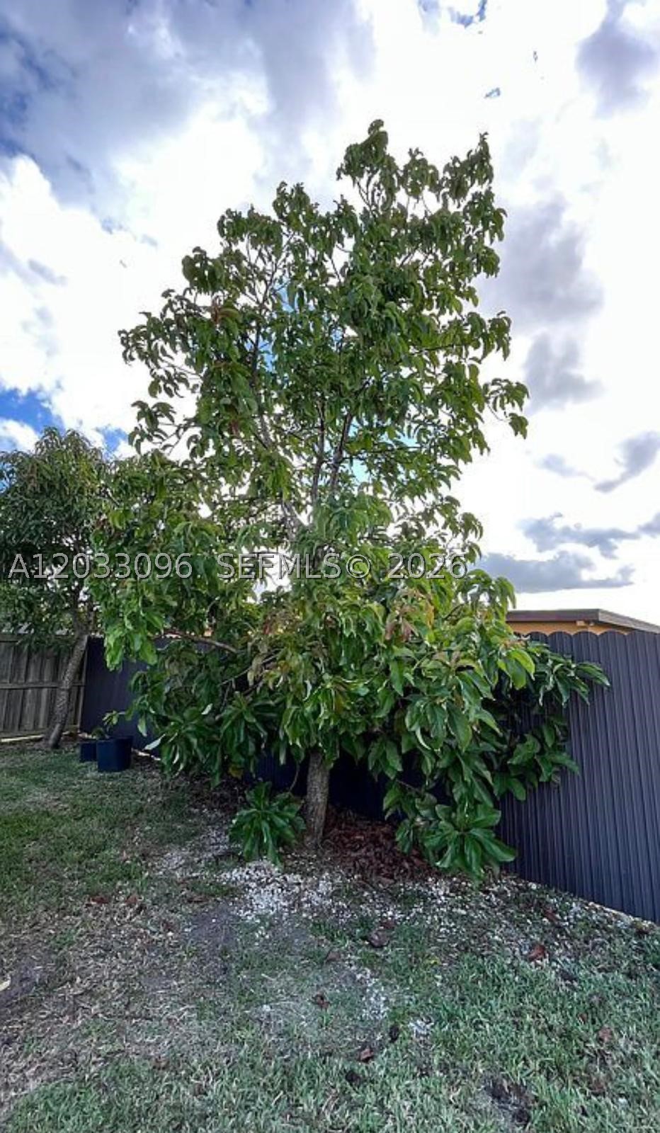 1475 Nw 19 St Property Photo 56