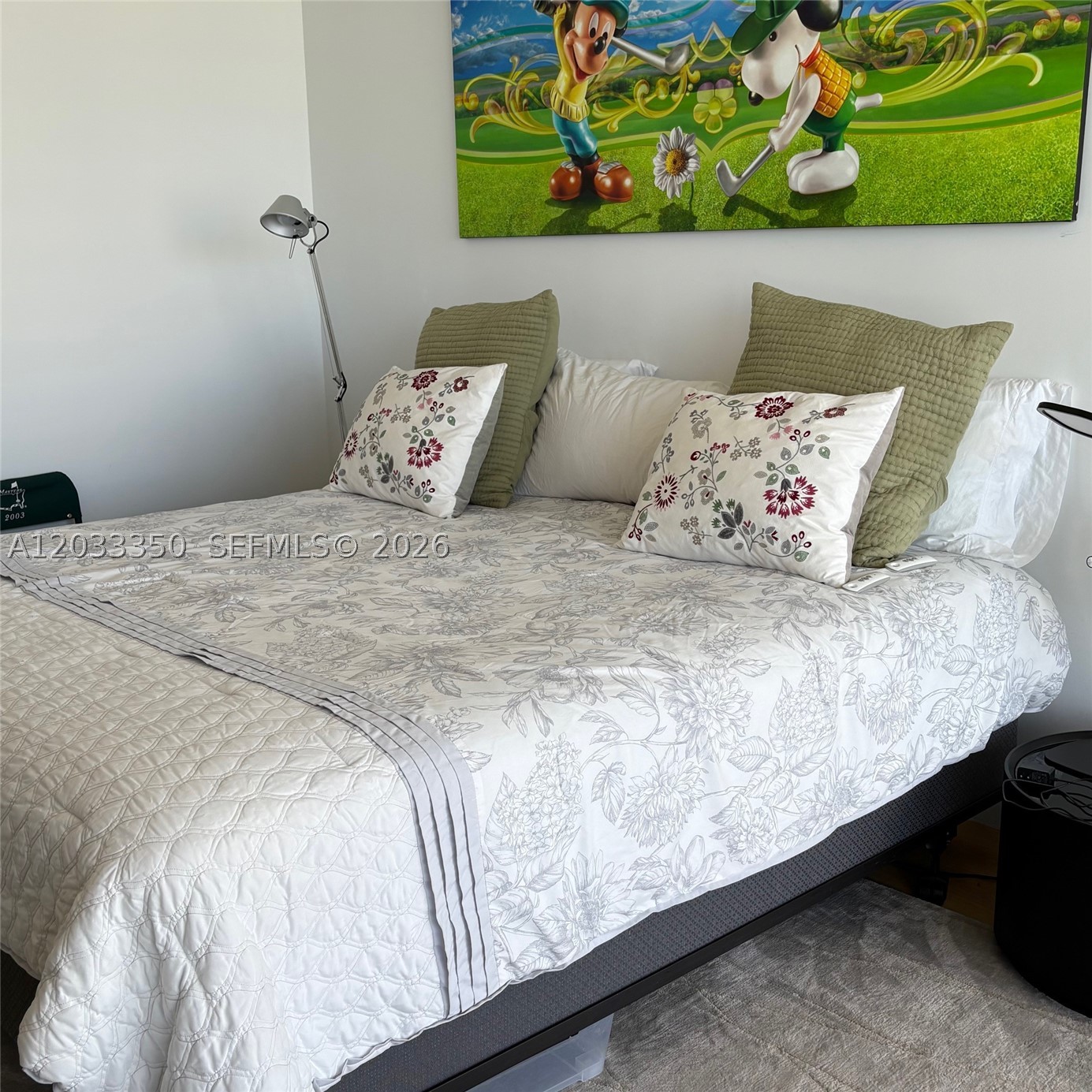 A12033350 Property Photo 34