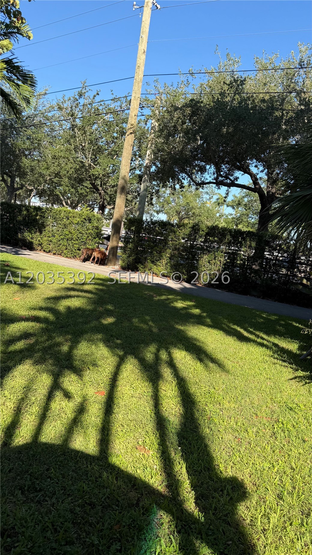 10115 Biscayne Blvd Property Photo 4