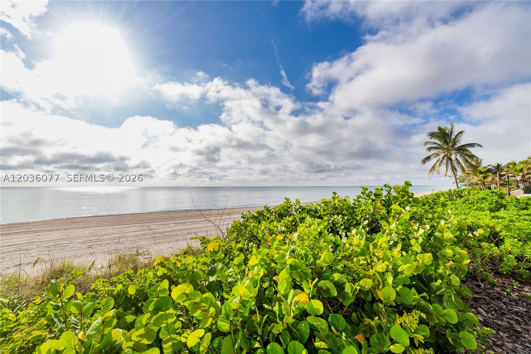 1904 S Ocean Dr 604 Property Photo 26