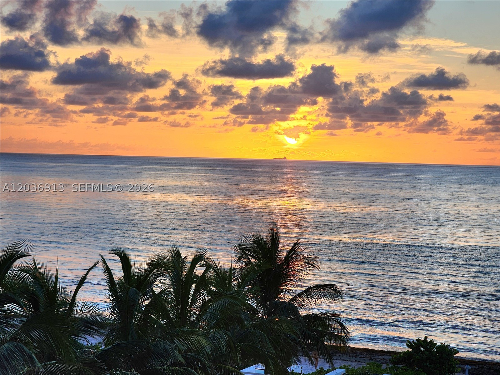 3505 S Ocean Dr 705 Property Photo 44