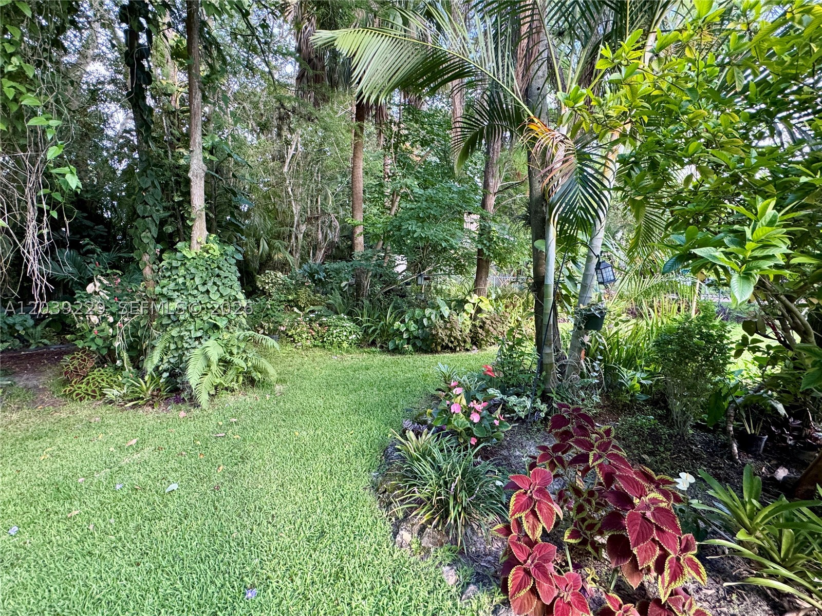 172 Wild Pine Rd Property Photo 57
