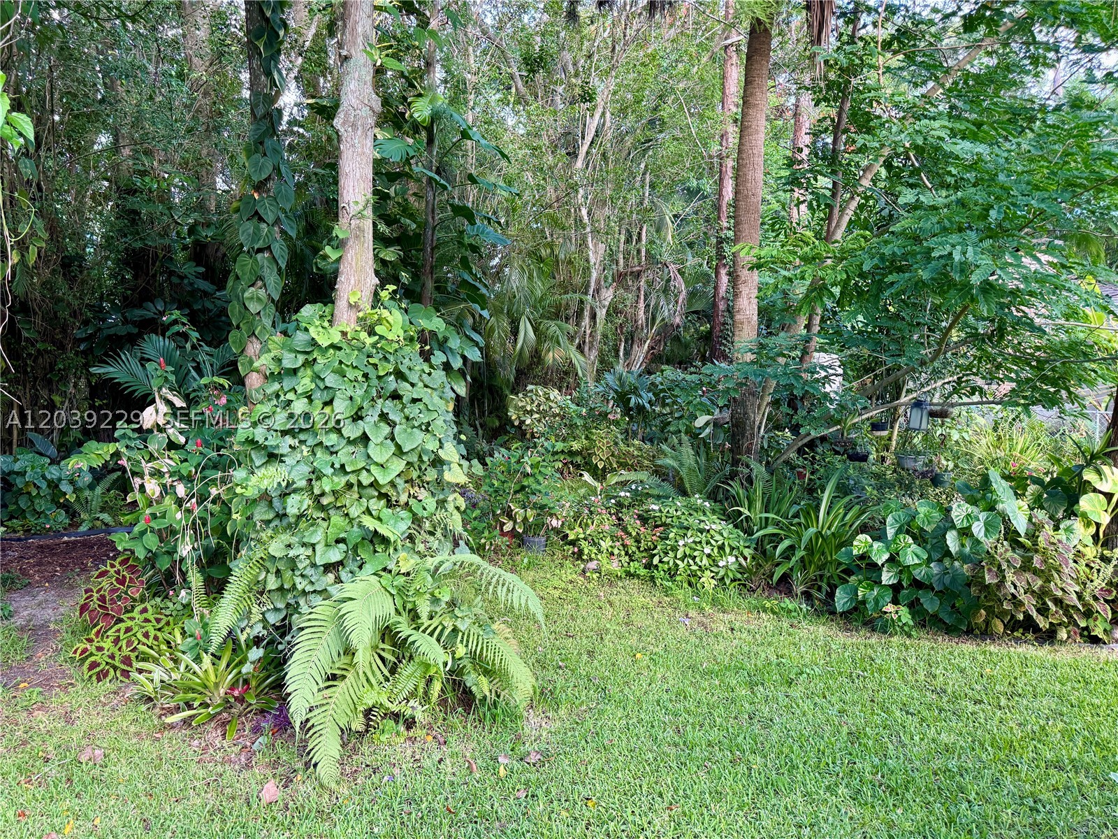 172 Wild Pine Rd Property Photo 58
