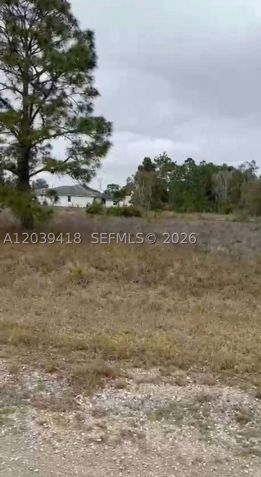 741 Bobolink Ave Property Photo 1