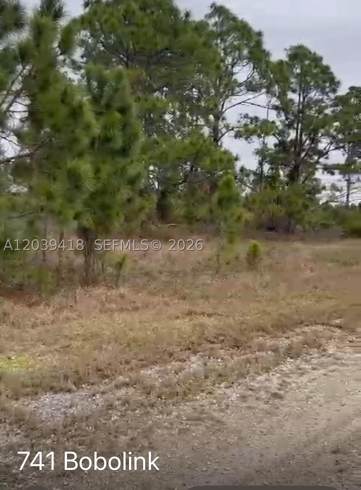 741 Bobolink Ave Property Photo 3