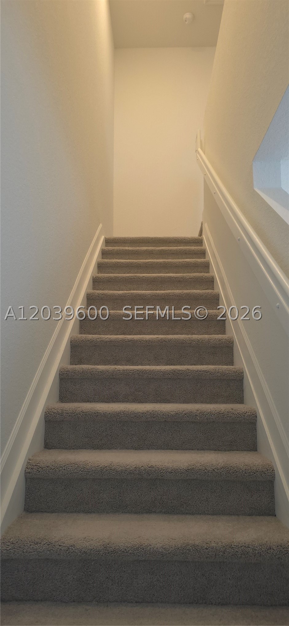 17962 Sw 357th Ter 17962 Property Photo 11