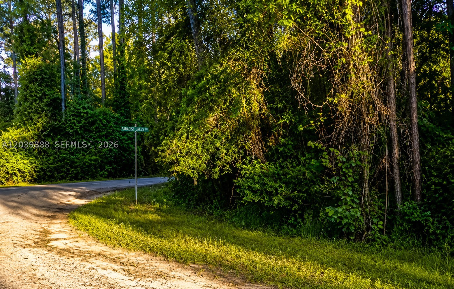 A12039888 Property Photo 1
