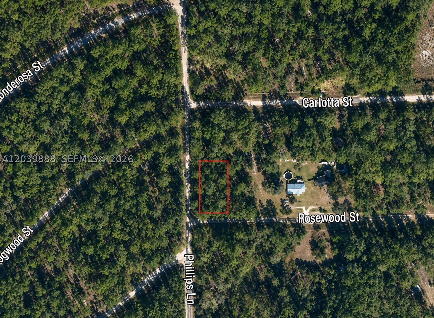 A12039888 Property Photo 2