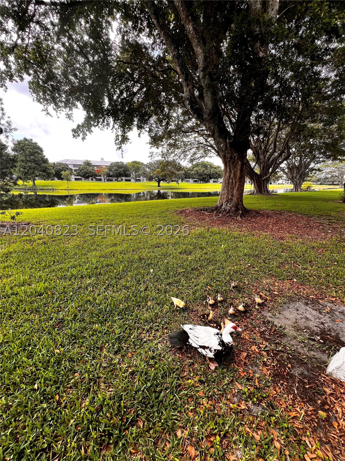9235 Lagoon Pl 109 Property Photo 23