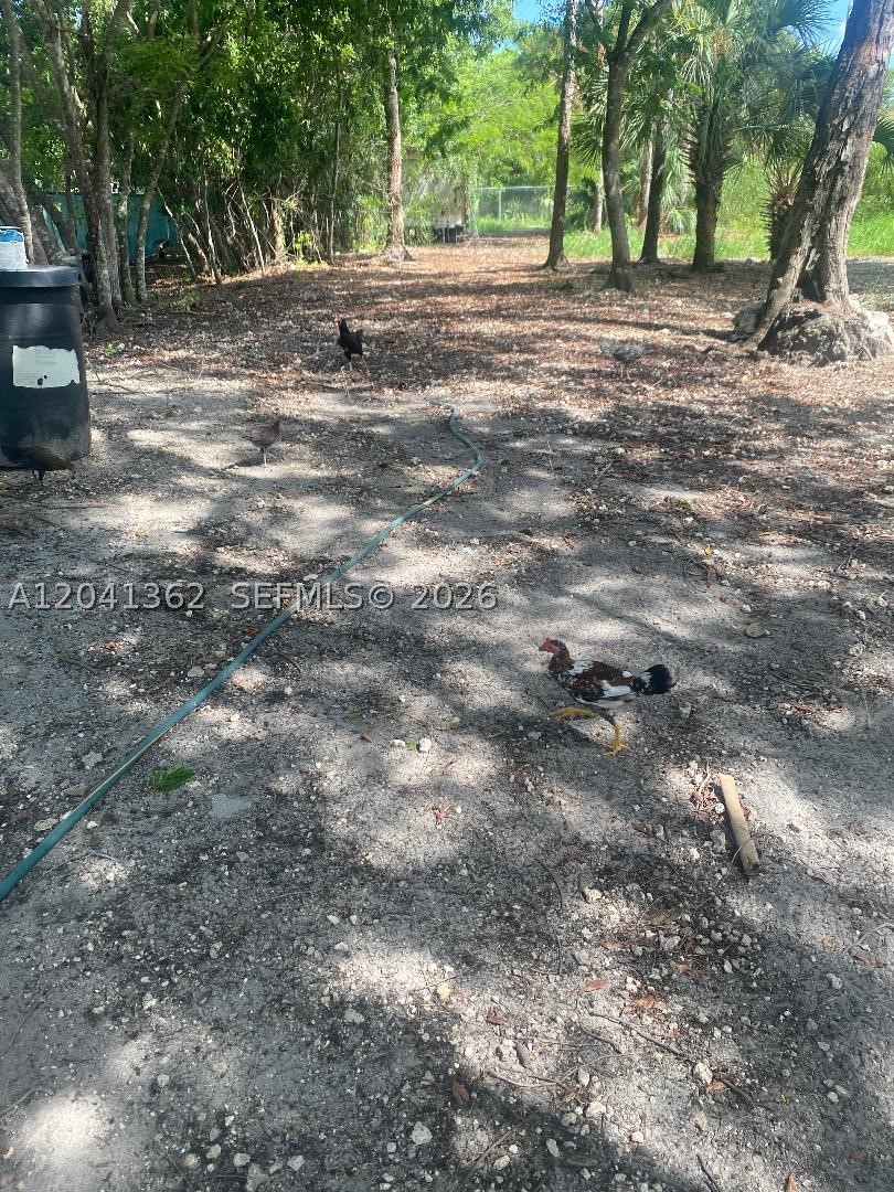 23625 Sw 125 Av Property Photo 3