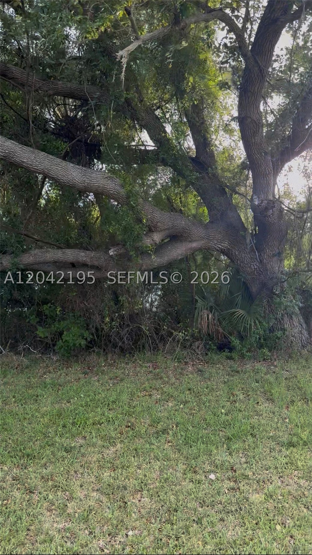 140 Albatross Rd Property Photo 6