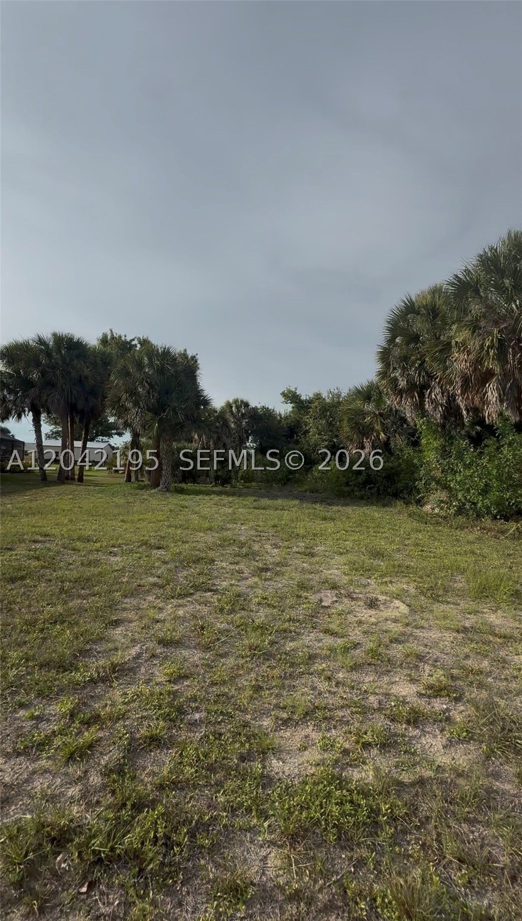 140 Albatross Rd Property Photo 7