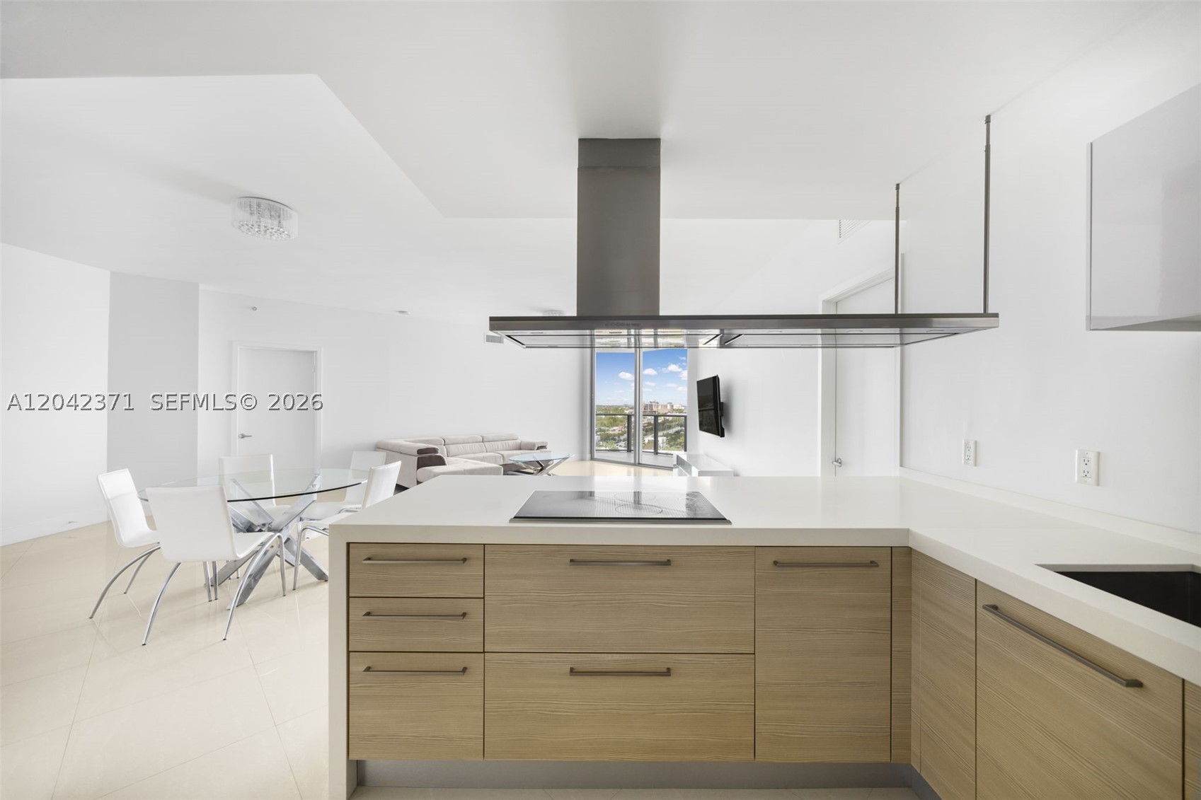 17301 Biscayne Blvd 1704 Property Photo 8