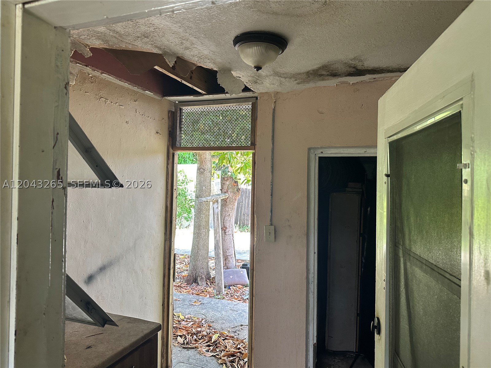 A12043265 Property Photo 19