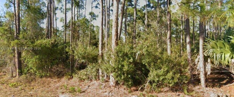 26442 Scham Rd Property Photo 1