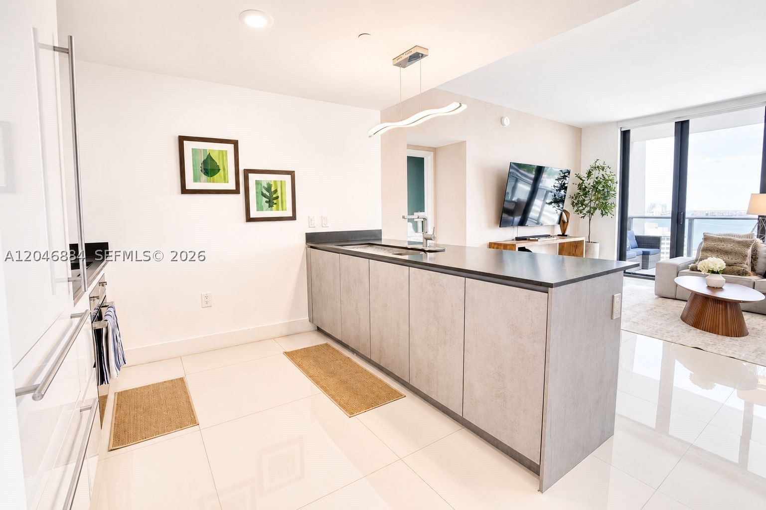 1010 Brickell Ave 2402 Property Photo 8