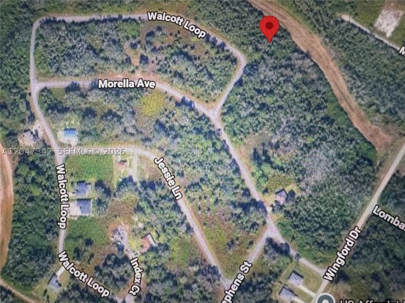 1991 WALCOTT LOOP Property Photo 1