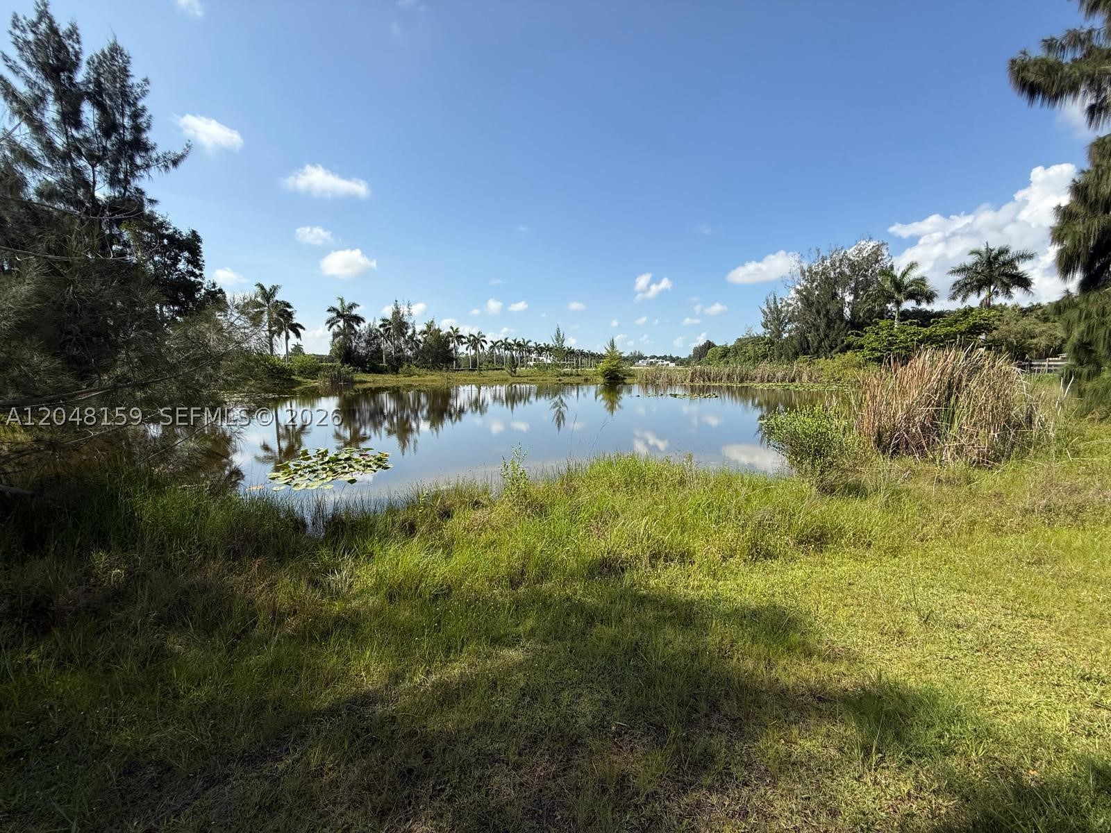 18500 Griffin Rd Property Photo 23