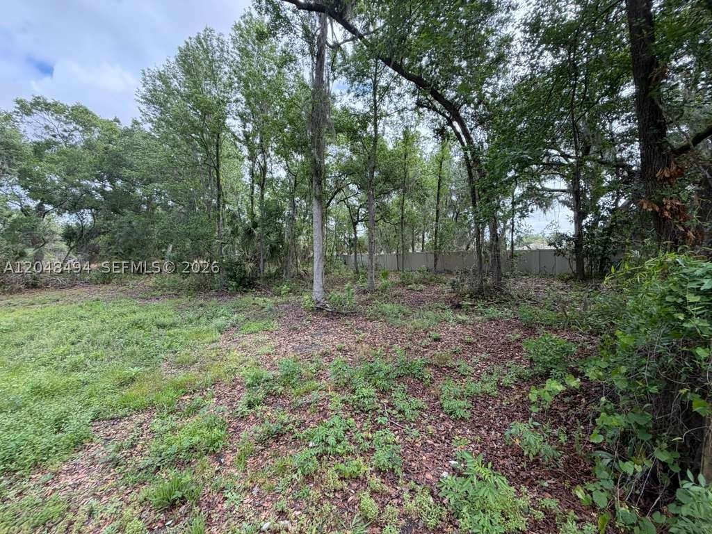 0 Bailey Rd Property Photo 4