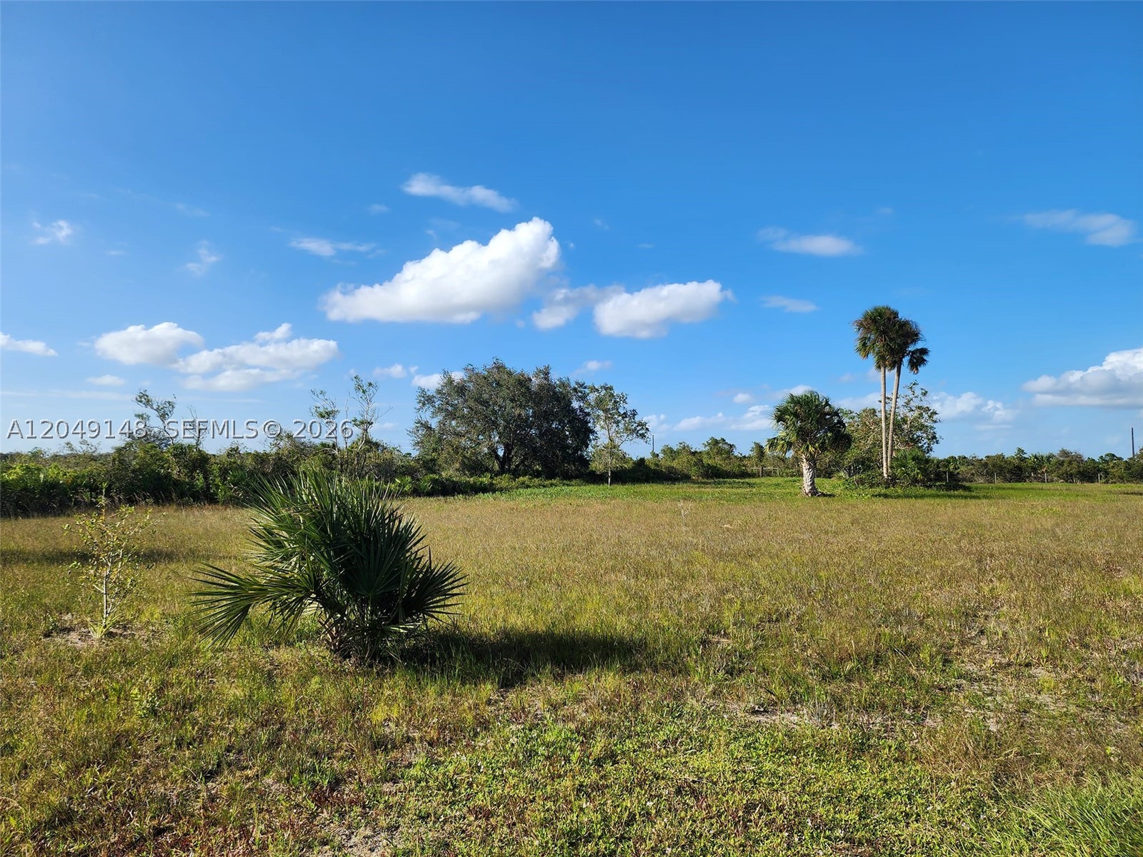 18717 Nw 258 St Property Photo 5