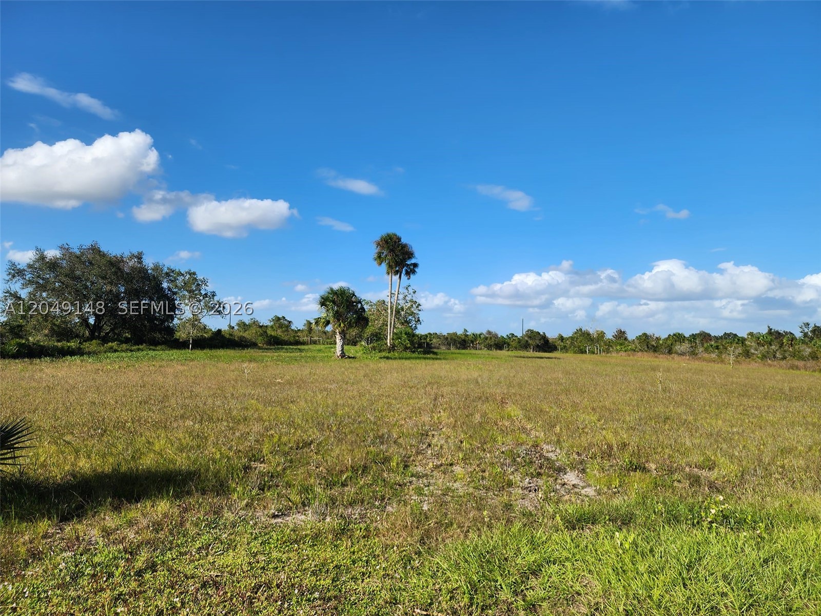 18717 Nw 258 St Property Photo 8