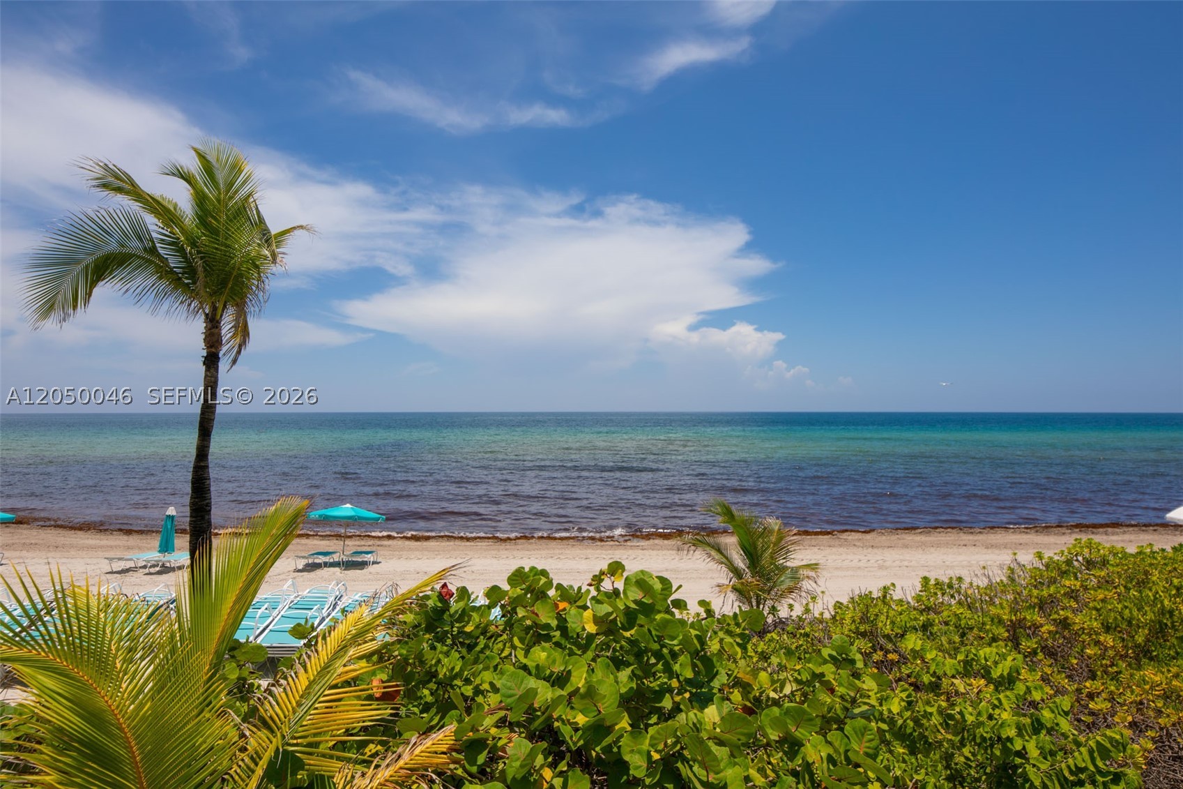 2501 S Ocean Dr 828 Property Photo 16