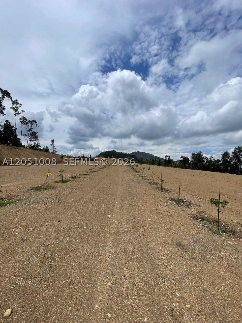 A12051008 Property Photo 17