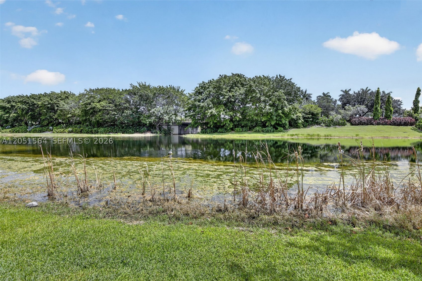 1164 Ginger Circle Property Photo 53